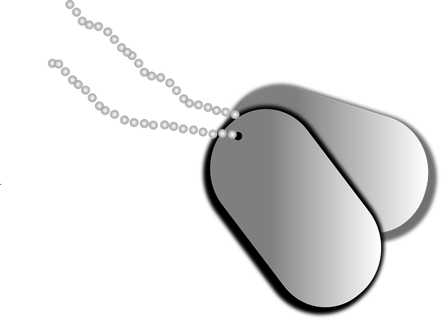 IMAGEN TOMADA DE PIXABAY